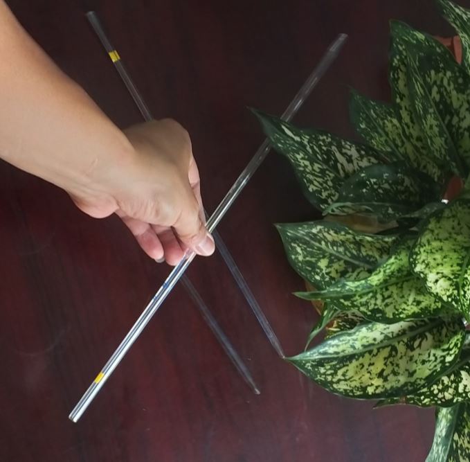 Pipet thẳng 30ml, hãng Biohall