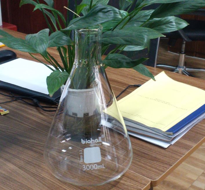 Bình tam giác 3000ml hãng Biohall-Germany