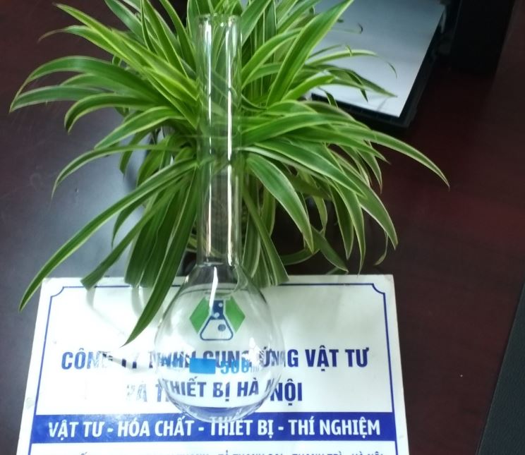 Bình Kjeldahl 500ml, hãng Biohall