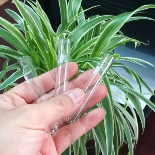 Ống nghiệm thủy tinh kích thước 16 x 100mm, hãng Biohall