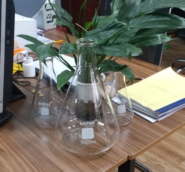 Bình tam giác cổ hẹp 3000ml hãng Biohall-Germany