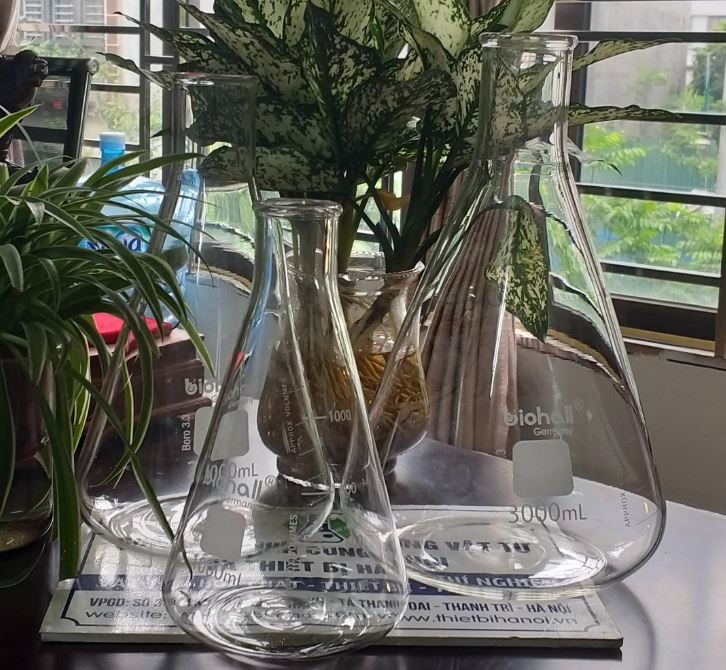 Bình tam giác cổ rộng 5000ml hãng Biohall-Germany