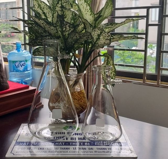 Bình tam giác có nhánh hút chân không 1000ml hãng Biohall-Germany