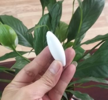 Con khuấy từ hình thoi 18 x 70mm, hãng Onelab