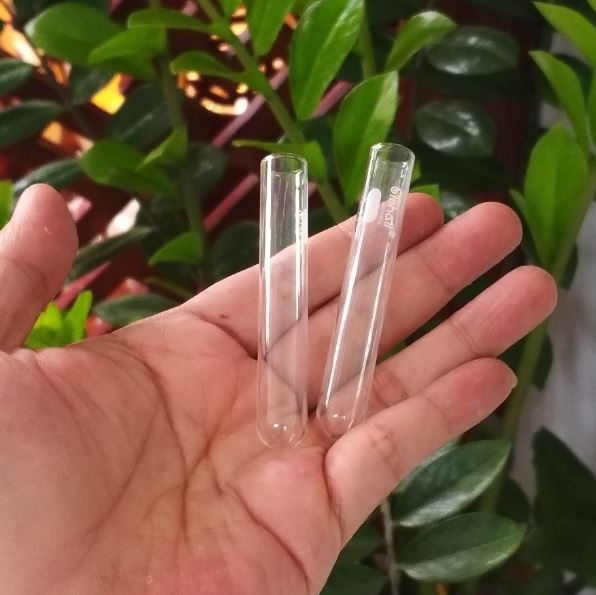 Ống nghiệm thủy tinh kích thước 16 x 125mm, hãng Biohall