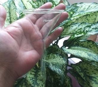 Phễu thủy tinh 75mm, hãng Onelab