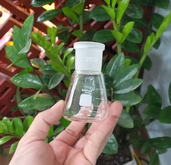 Bình tam giác thủy tinh 50ml cổ nhám 24/29, hãng Biohall-Germany