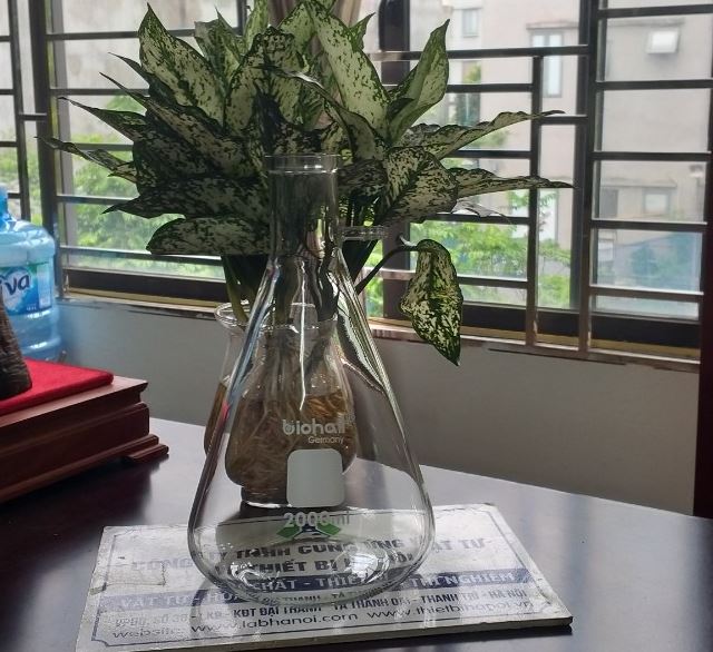 Bình tam giác có nhánh hút chân không 2000ml hãng Biohall-Germany