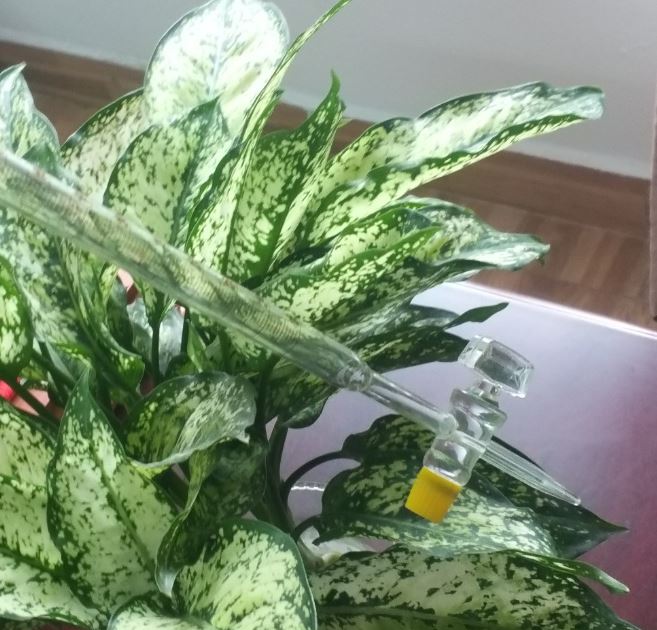 Buret trắng 25ml khóa thủy tinh, hãng Onelab