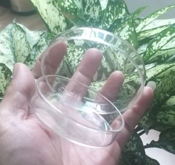 Hộp lồng petri 100x20mm, hãng Onelab