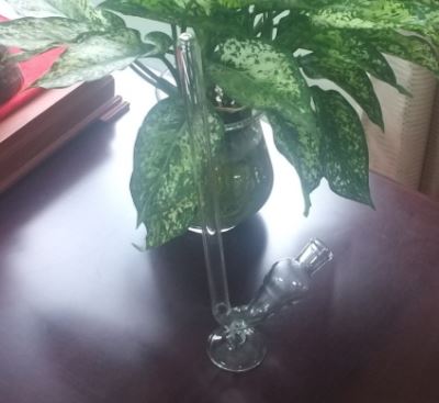 Ống lên men 50ml, hãng Onelab