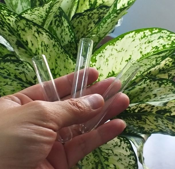 Ống nghiệm thủy tinh kích thước 16 x 160mm, hãng Biohall