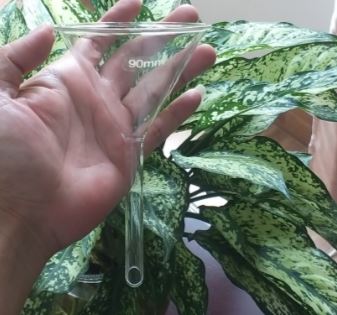 Phễu thủy tinh 90mm, hãng Onelab