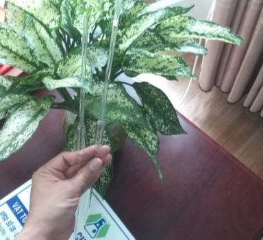 Pipet bầu thủy tinh 15ml hãng Onelab