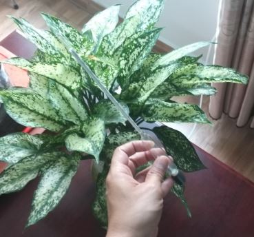 Tỷ trọng kế 1,1 - 1,2 hãng Onelab