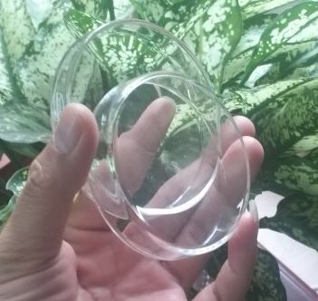 Hộp lồng petri 150x30mm, hãng Onelab