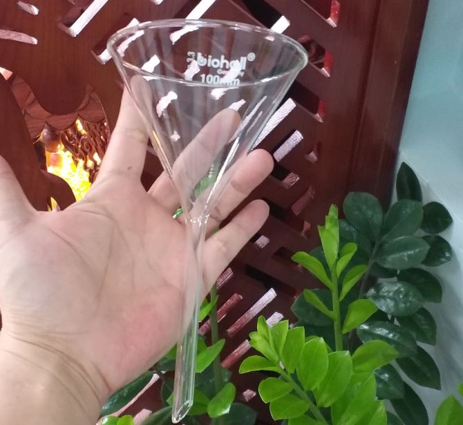 Phễu thủy tinh 120mm, hãng Biohall