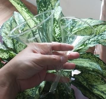 Phễu thủy tinh 120mm, hãng Onelab