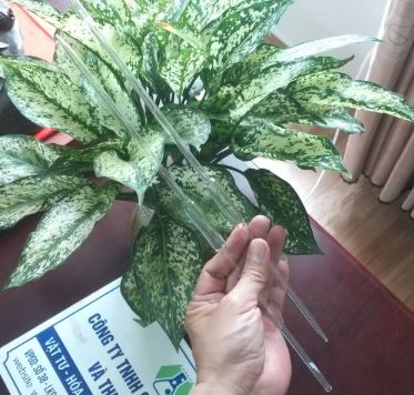 Pipet bầu thủy tinh 20ml hãng Onelab