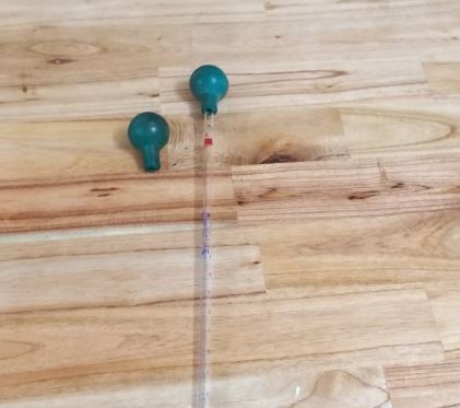 Quả bóp cao su dùng cho pipet pasteur, hãng Onelab