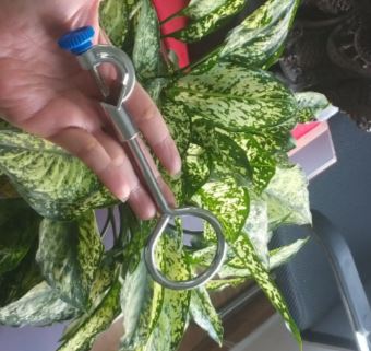 Vòng đỡ phễu chiết quả lê phi 100mm, hãng Onelab