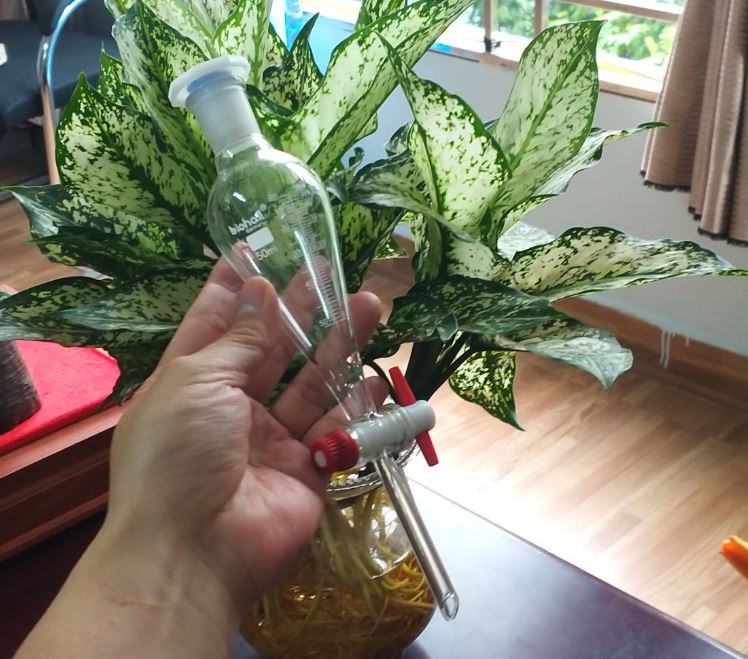 Bình lắng gạn 100ml có chia vạch, khóa nhựa PTFE, hãng Biohall