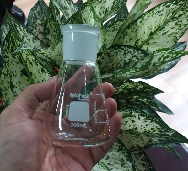 Bình tam giác thủy tinh 100ml cổ nhám 19/26, hãng Biohall-Germany