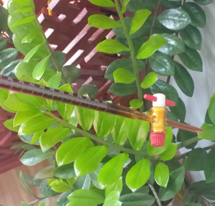 Buret thủy tinh nâu 50ml, khóa nhựa PTFE, hãng Biohall