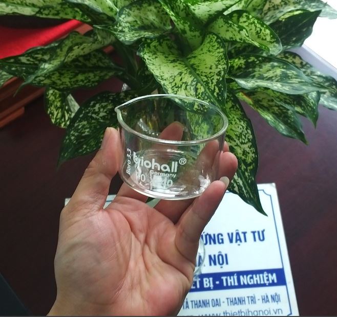 Chậu thủy tinh có mỏ kích thước 40 x 25mm, hãng Biohall