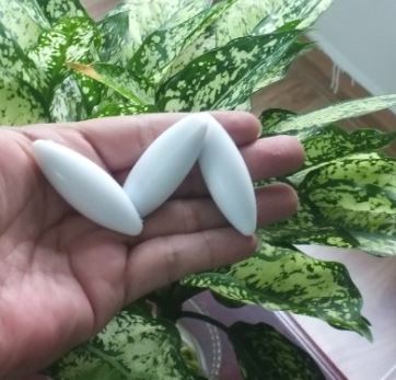 Con khuấy từ hình quả trám 18 x 70mm, hãng Onelab