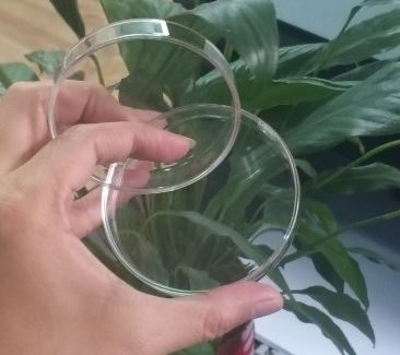 Hộp lồng petri thủy tinh phi 60mm, hãng Onelab