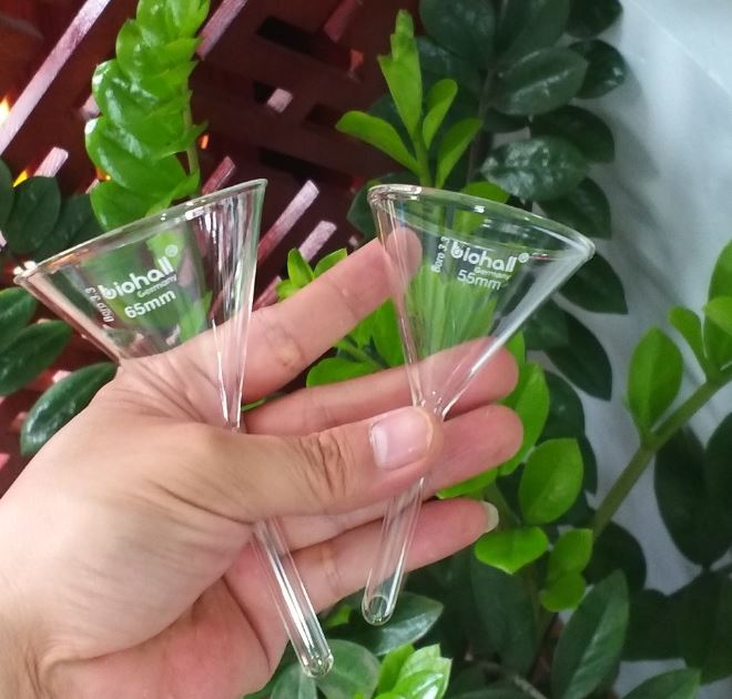 Phễu thủy tinh 125mm, hãng Biohall