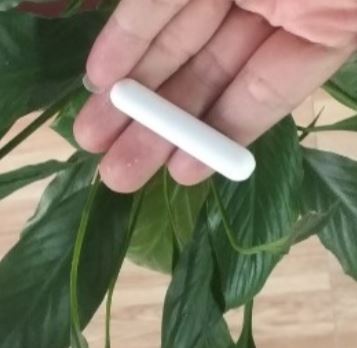 Thanh khuấy từ 10 x 70mm, hãng Onelab