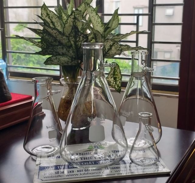 Bình tam giác có nhánh hút chân không 20000ml hãng Biohall-Germany