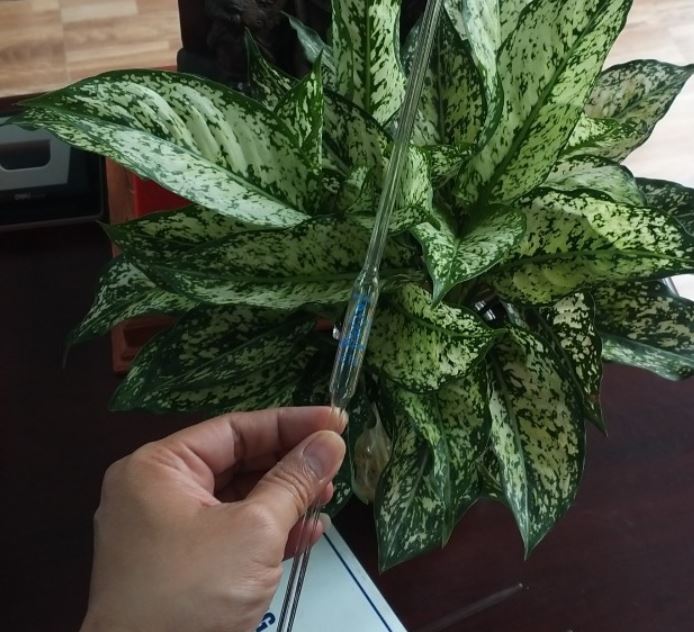 Pipettes bầu thủy tinh 8ml, loại Class AS, hãng Biohall