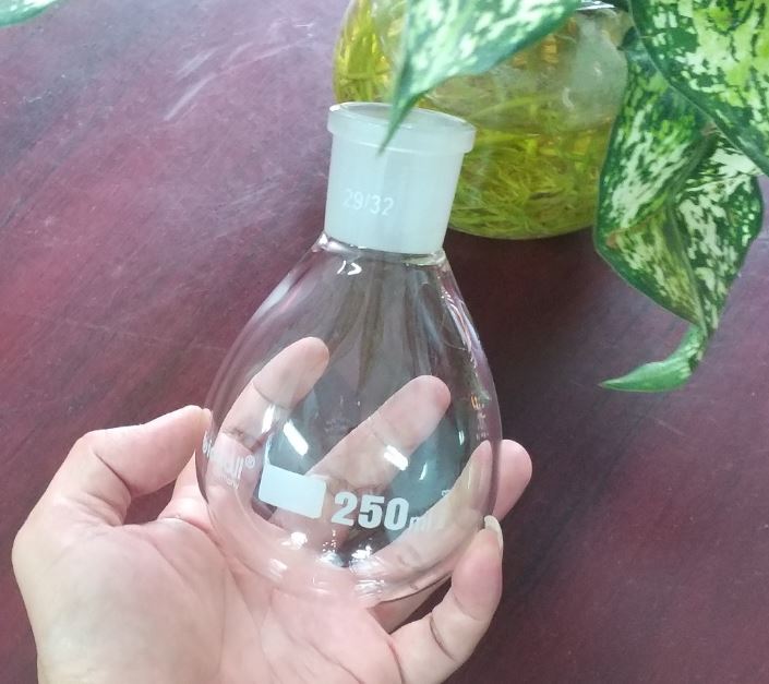 Bình cô quay chân không 250ml, nhám 29/32, hãng Biohall