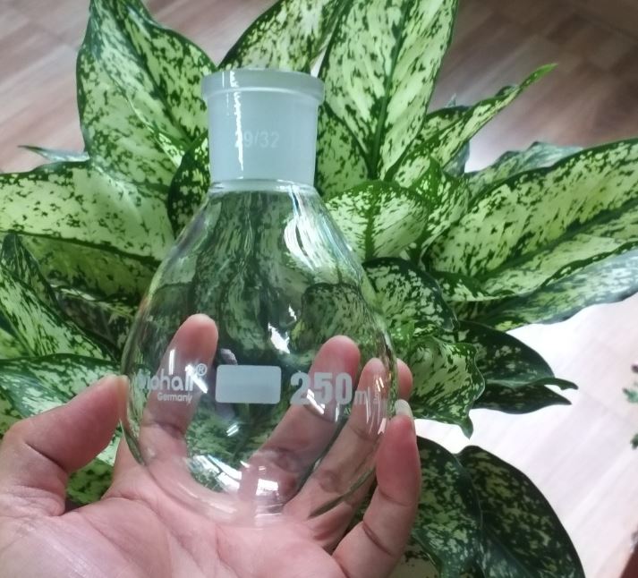 Bình cô quay chân không 50ml, nhám 29/32, hãng Biohall